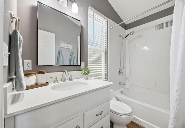 a bathroom with a sink a toilet a mirror a bathtub and shower