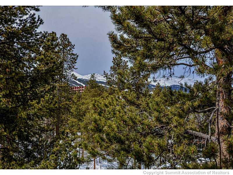 820 Columbine Road, Unit 16B Breckenridge, CO 80424 - Photo 21 of 23 a view of a tree