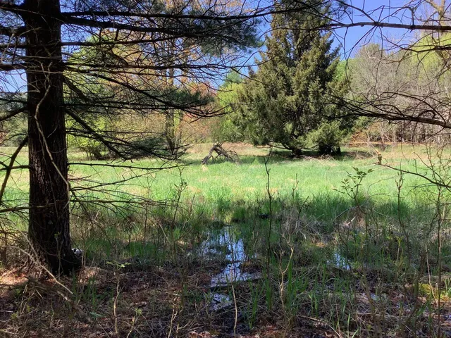 $253,500 | County Road, Fremont, WI 54940