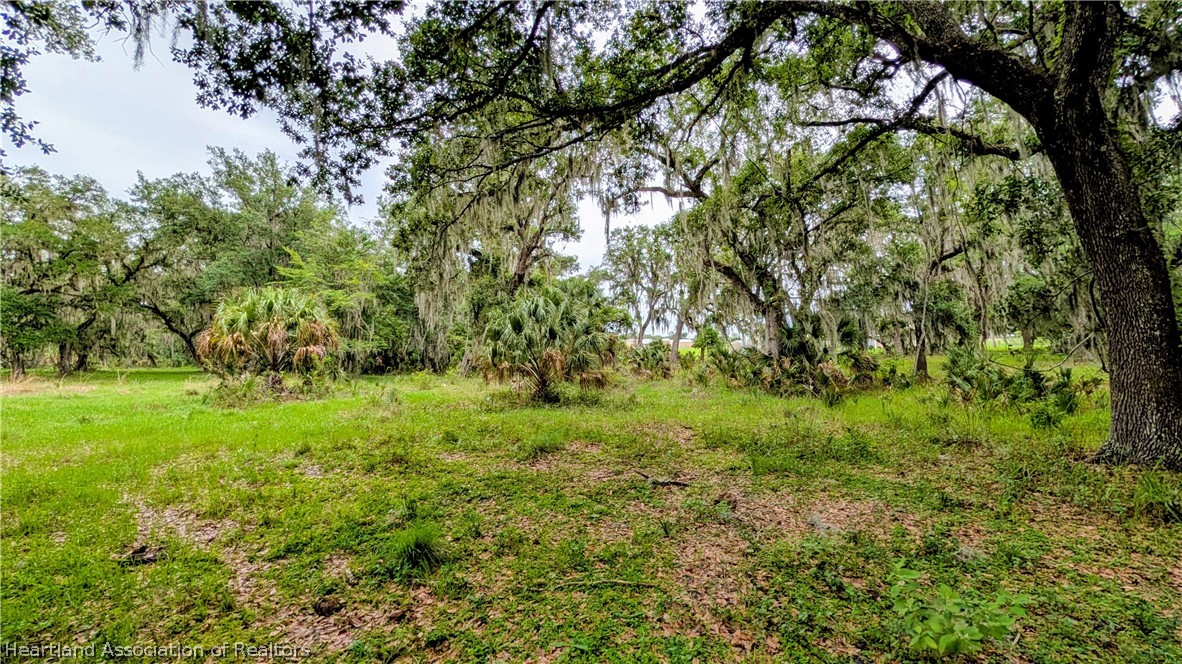 Popash Road Wauchula, FL 33873 - Photo 18 of 29 a view of yard with green space
