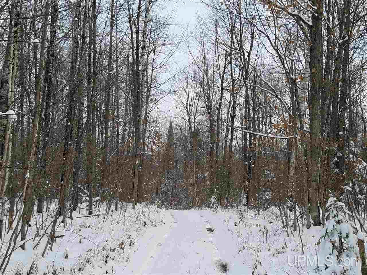 Tbd Tbd Co Road Gwinn, MI 49841 - Photo 2 of 8