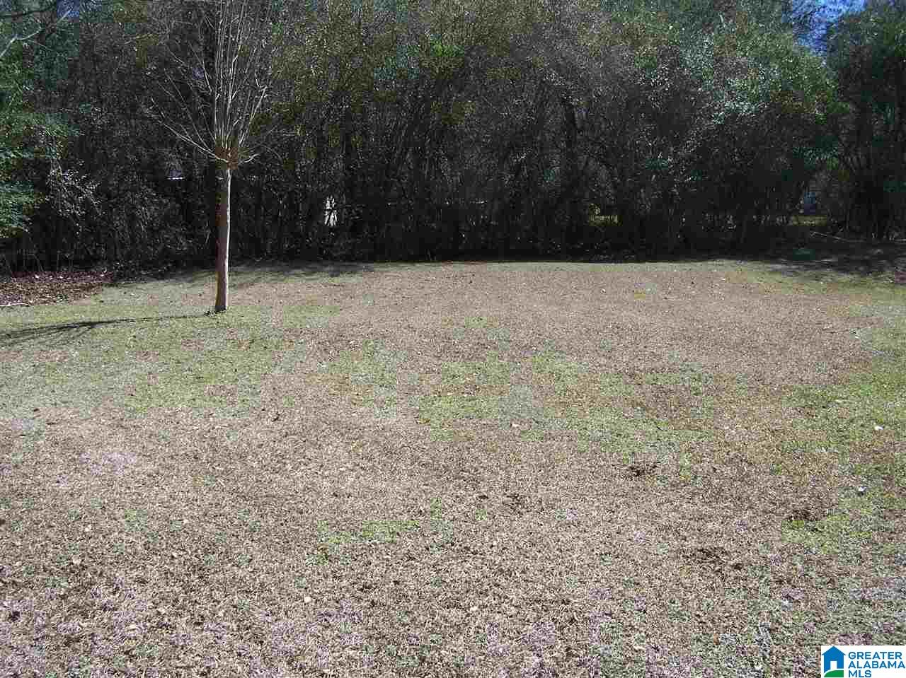 75 Vista Drive Oneonta, AL 35121 - Photo 50 of 50