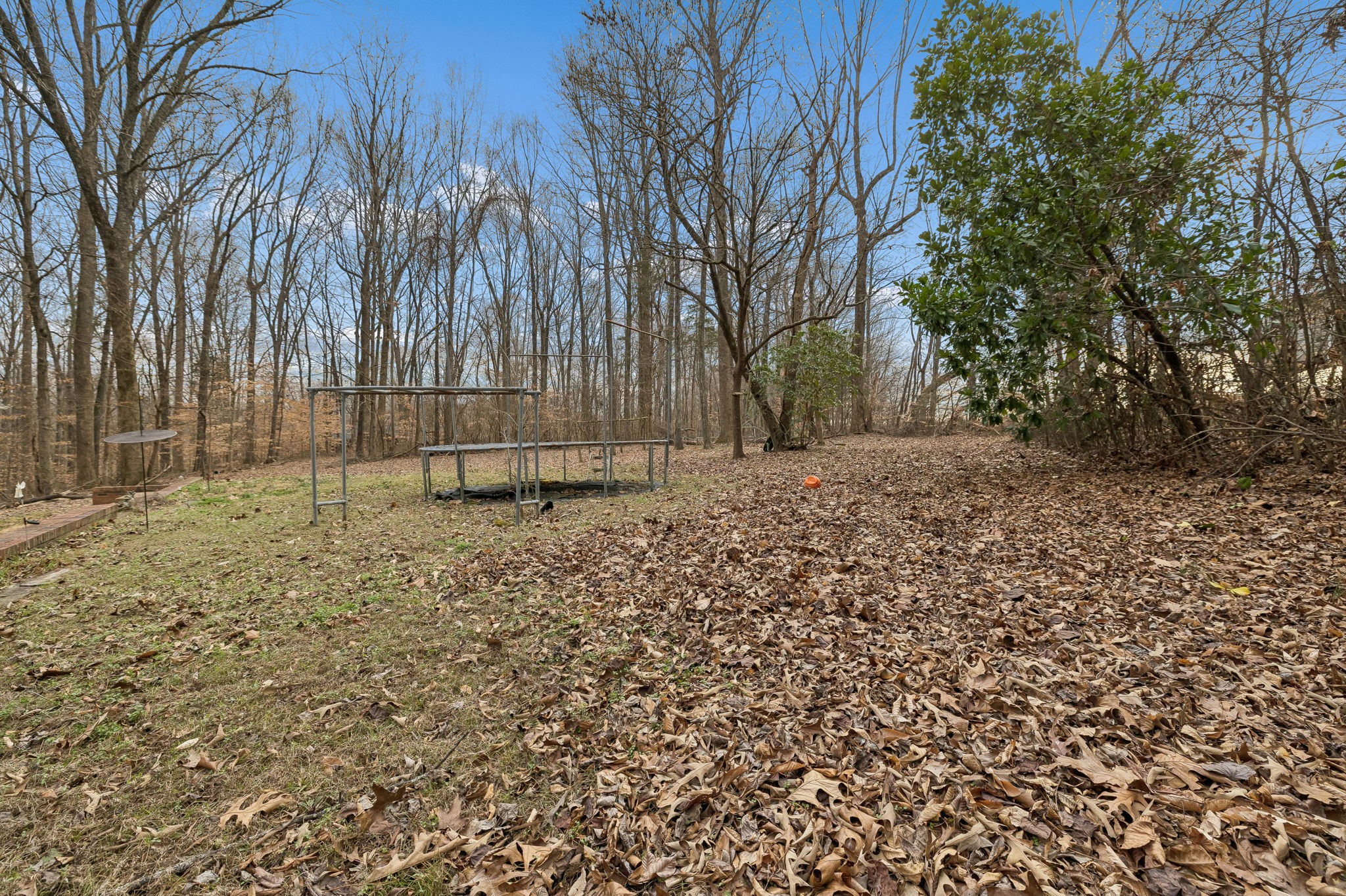 121 Kimberly Lane Pleasant View, TN 37146 - Photo 37 of 42 a backyard of a house with lots of green space