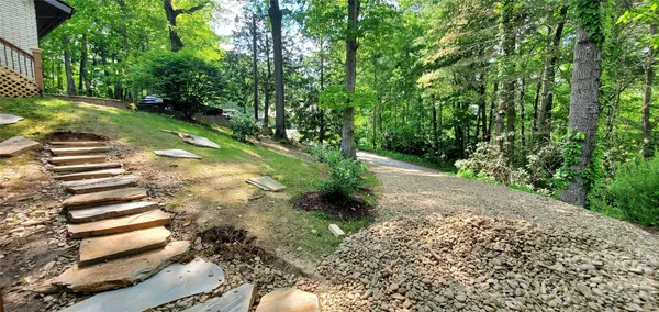 a view of a yard with a yard