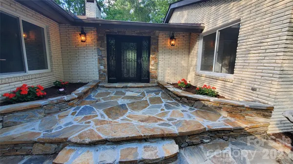 a view of a backyard with plants and large trees