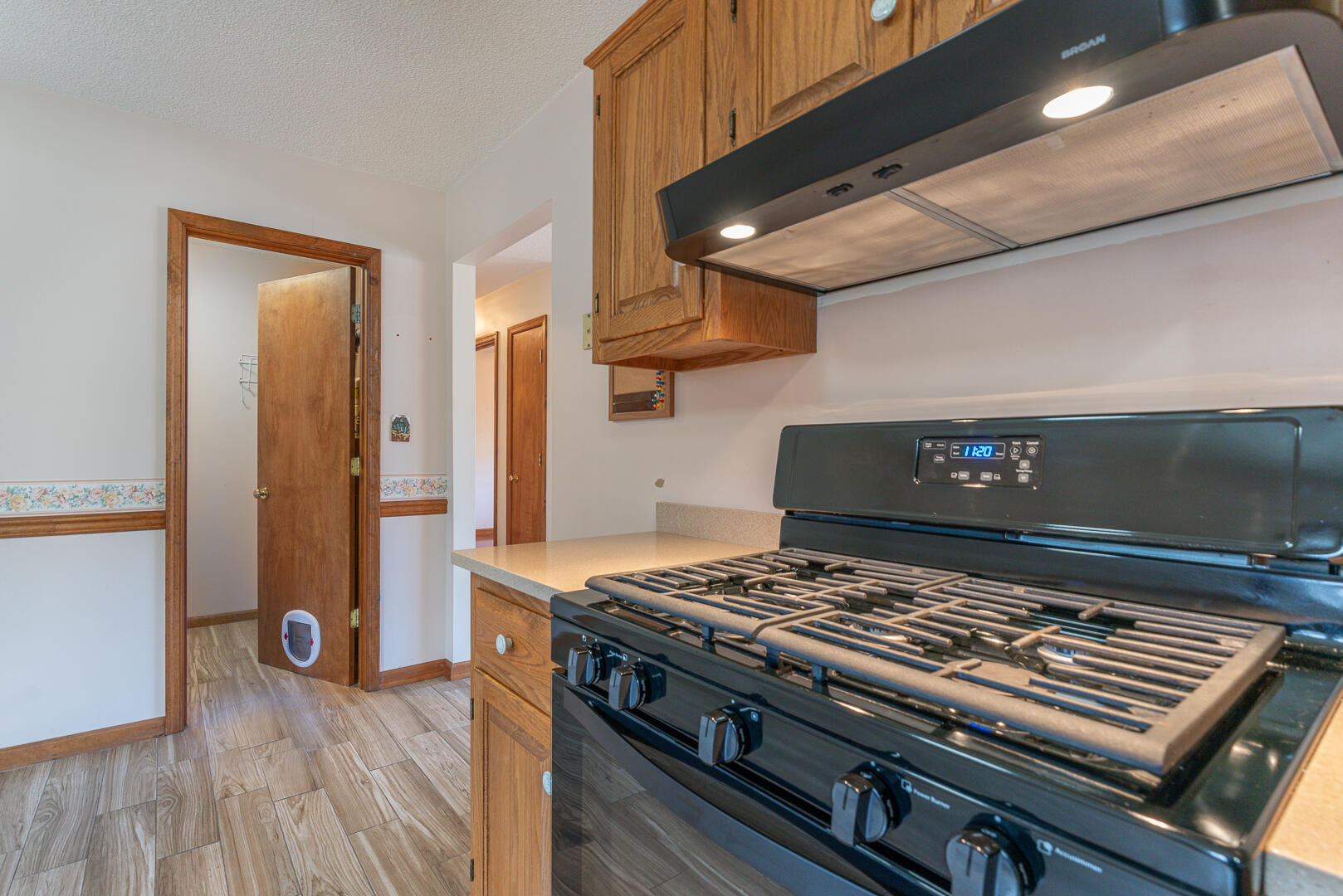 220 Alum Springs Road Lexington, VA 24450 - Photo 13 of 45 13 Gas Stove