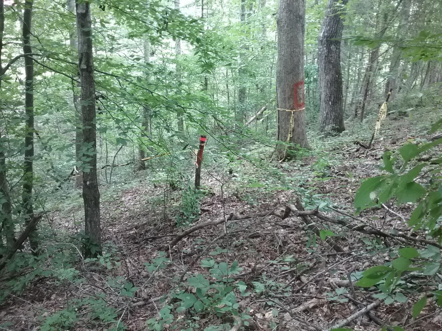 9999 Galimore Road Pine Knot, KY 42635 - Photo 14 of 35 Photo 14