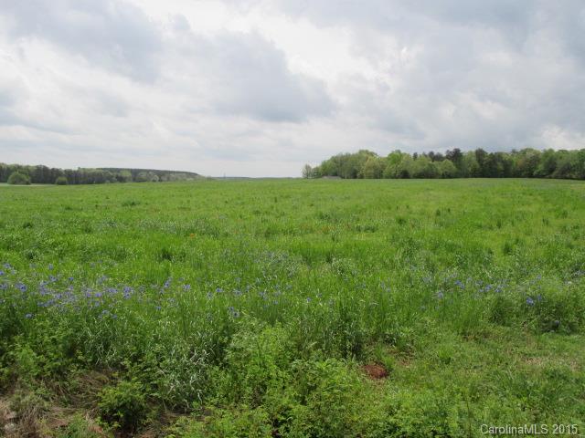 Lot 5 Daniels Road Lincolnton, NC 28092 - Photo 1 of 10 Gallery Image 1