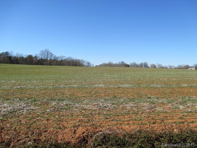 Lot 5 Daniels Road Lincolnton, NC 28092 - Photo 6 of 10 Gallery Image 6