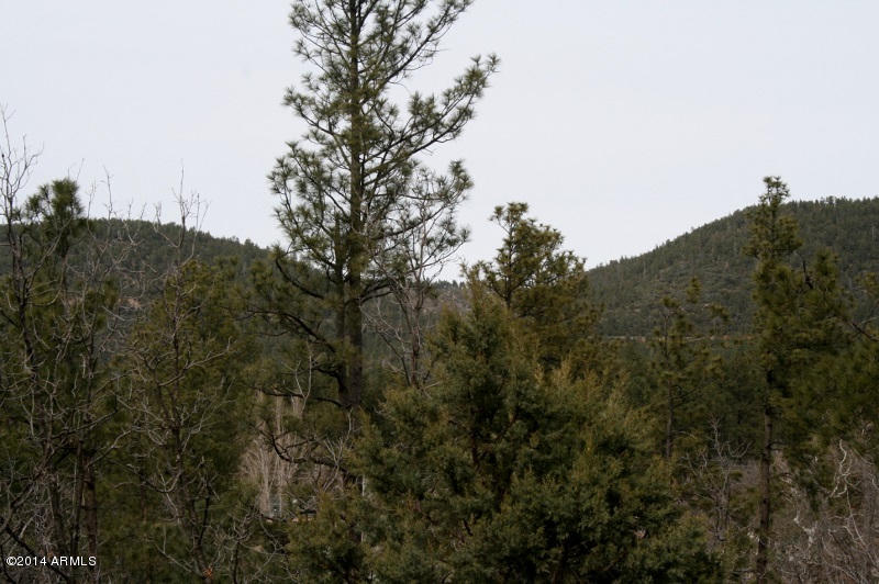 4904 Fuller Road Strawberry, AZ 85544 - Photo 19 of 19 Mountain & forest views