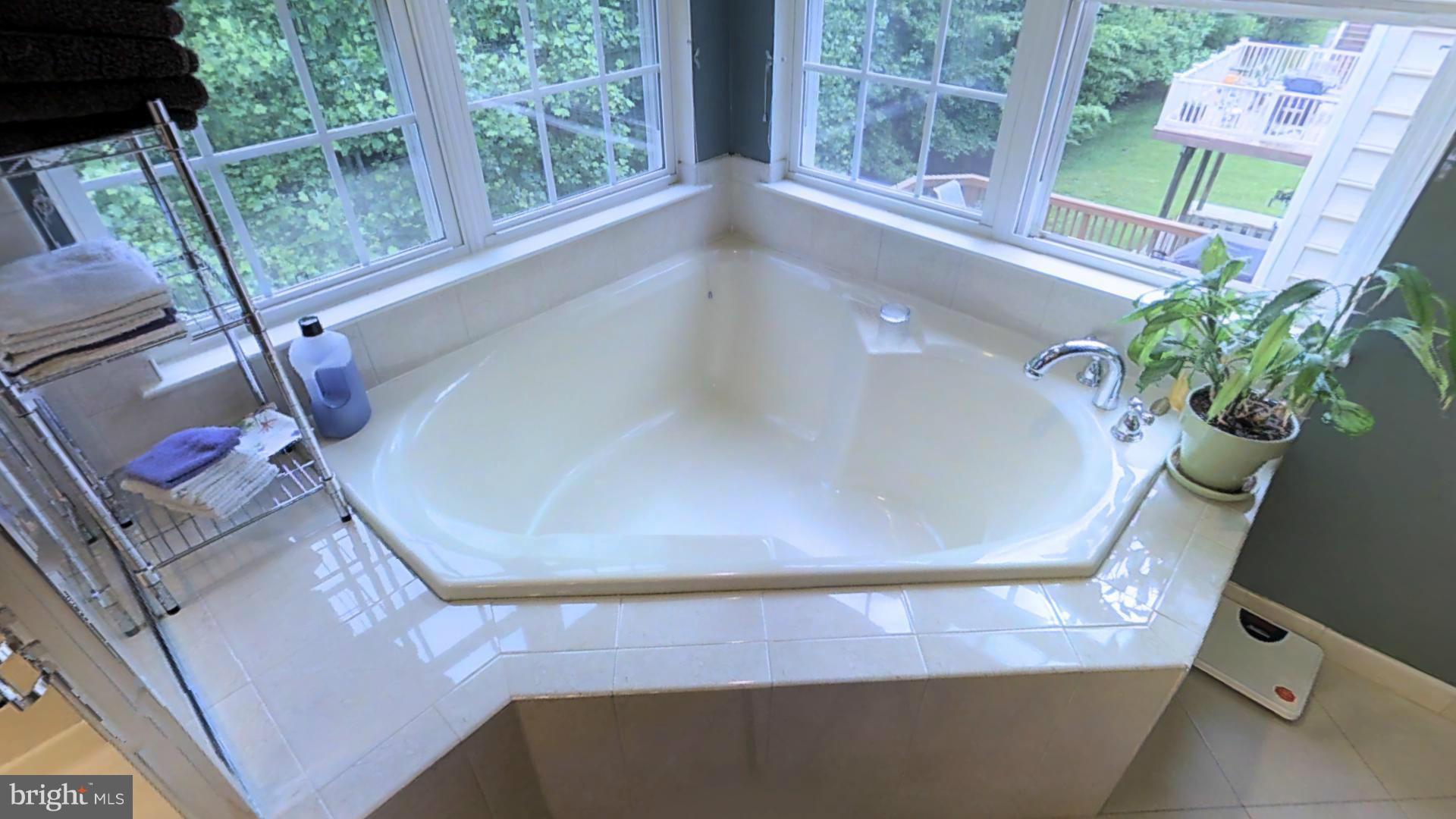 2409 Killarney Terrace Odenton, MD 21113 - Photo 11 of 21 Bath (Master)