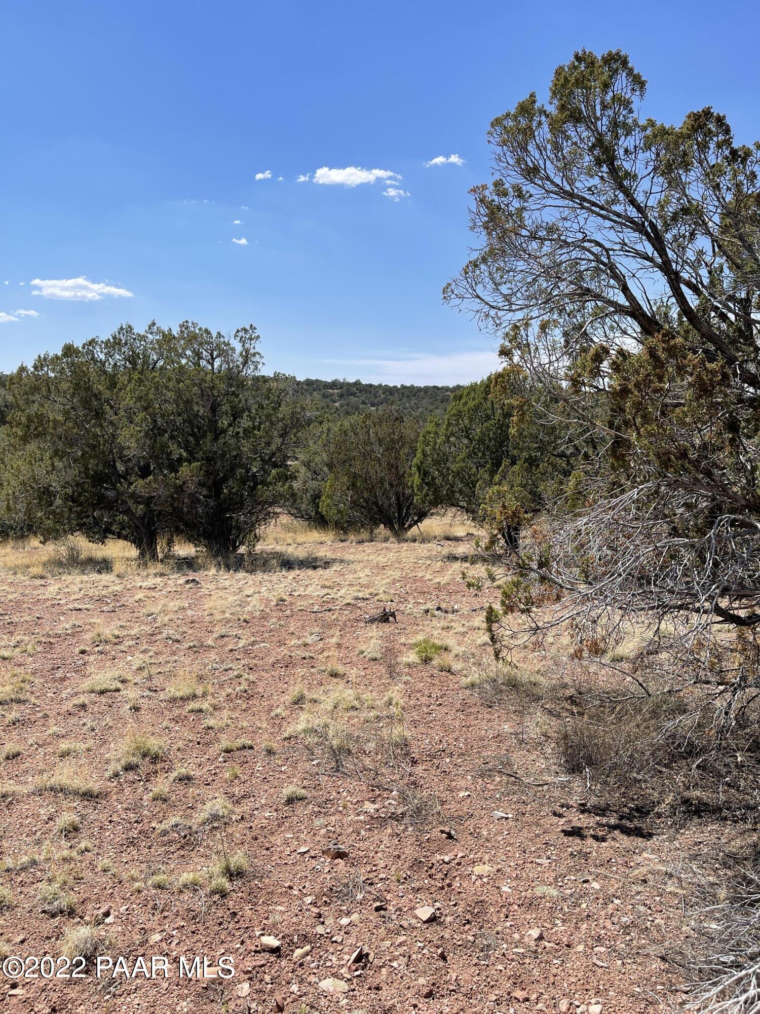 56400 Bearclaw Road Seligman, AZ 86337 - Photo 1 of 5 Quiet Area, backs to state land!