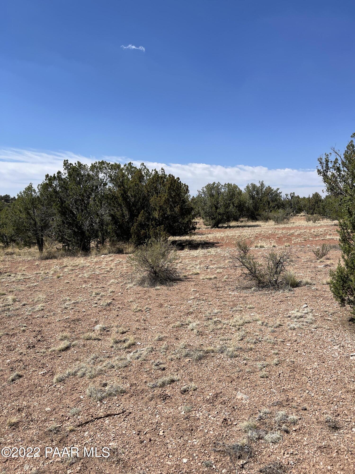 56400 Bearclaw Road Seligman, AZ 86337 - Photo 2 of 5 A perfect Hunting cabin lot!