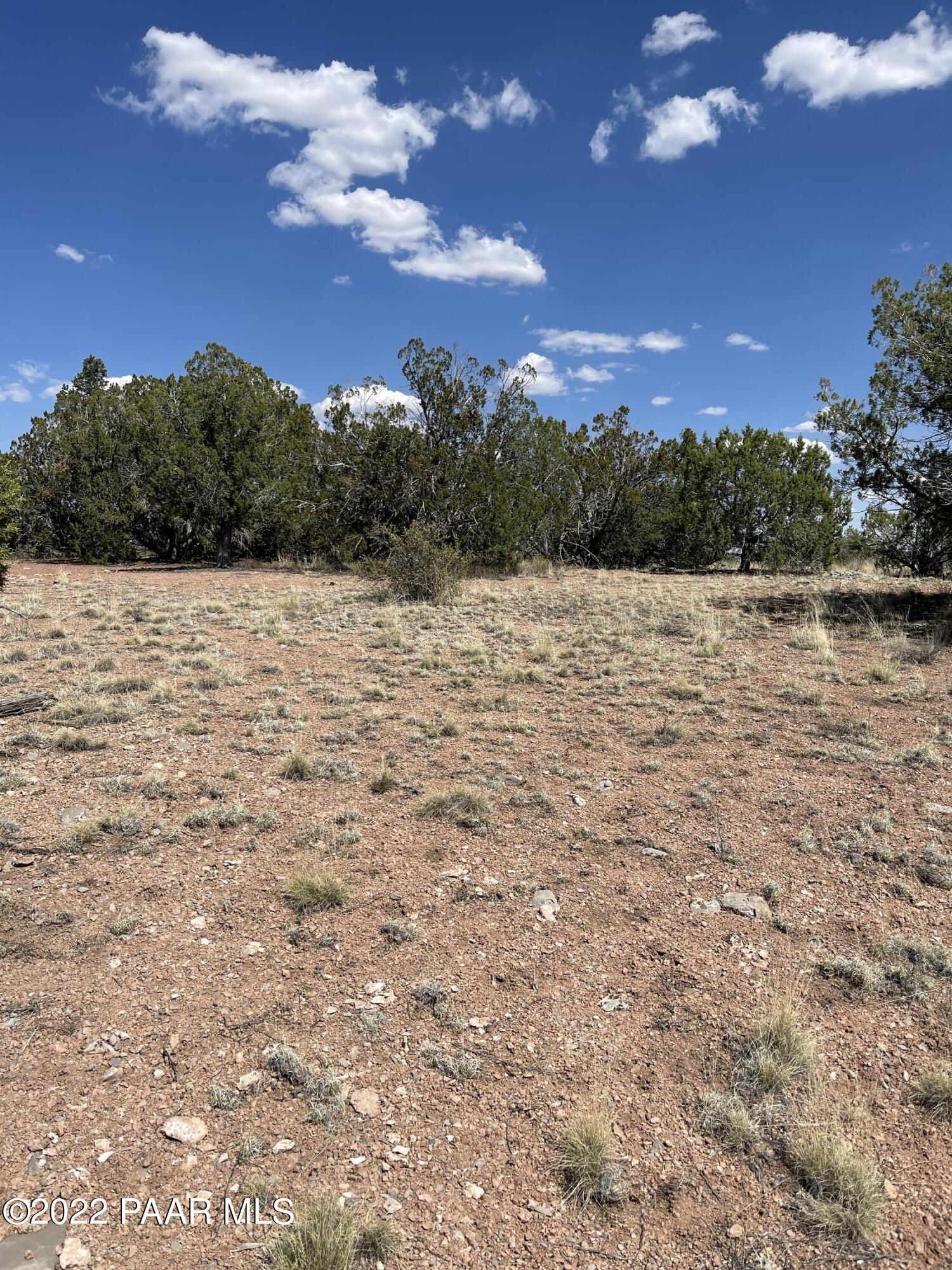56400 Bearclaw Road Seligman, AZ 86337 - Photo 3 of 5 50357377-65F6-4F2D-81D9-D5D80FE7CC2E