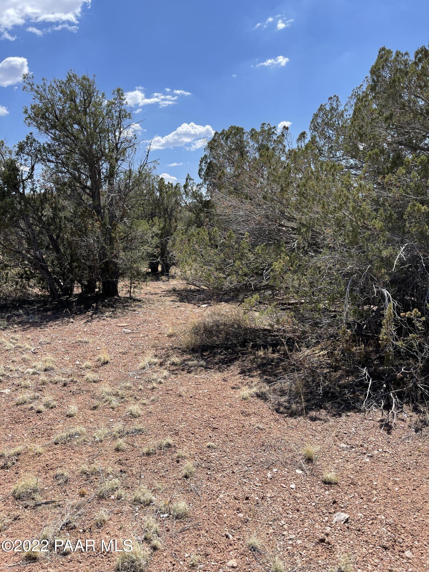 56400 Bearclaw Road Seligman, AZ 86337 - Photo 5 of 5 Your home or home away from home!