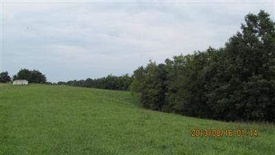 0 Lebanon Road Bagdad, KY 40003 - Photo 13 of 22 Photo 13