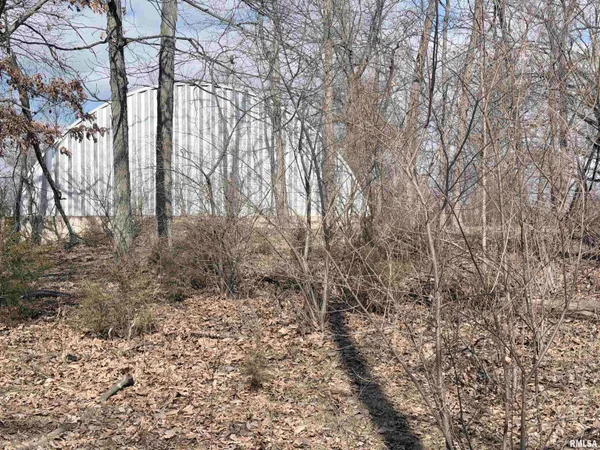 $99,000 | 15508 North 400th Street, Martinsville, IL 62442