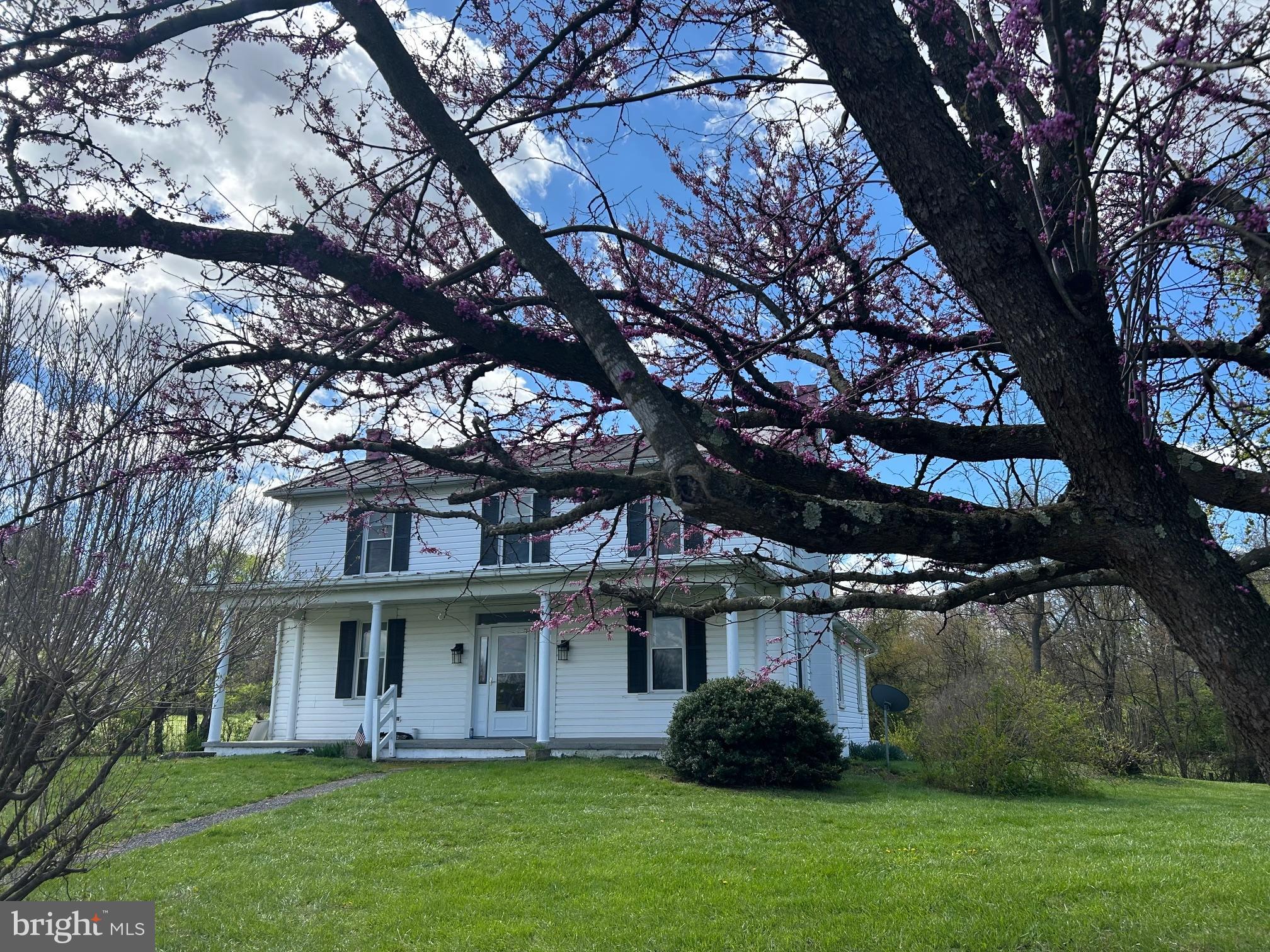 1095 Senseny Road Berryville, VA 22611 - Photo 8 of 47 a view of a house with a yard