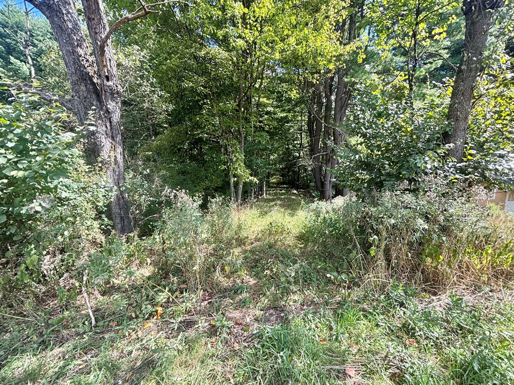 0 McCauley Hill Road Tidioute, PA 16351 - Photo 2 of 8