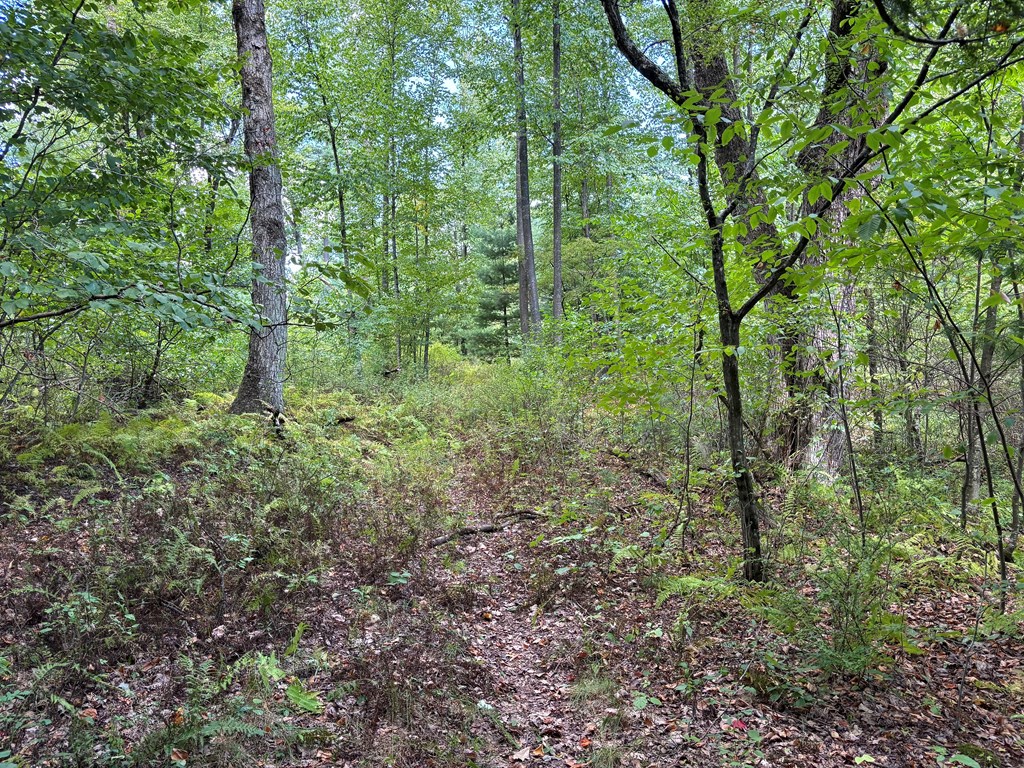 0 McCauley Hill Road Tidioute, PA 16351 - Photo 6 of 8