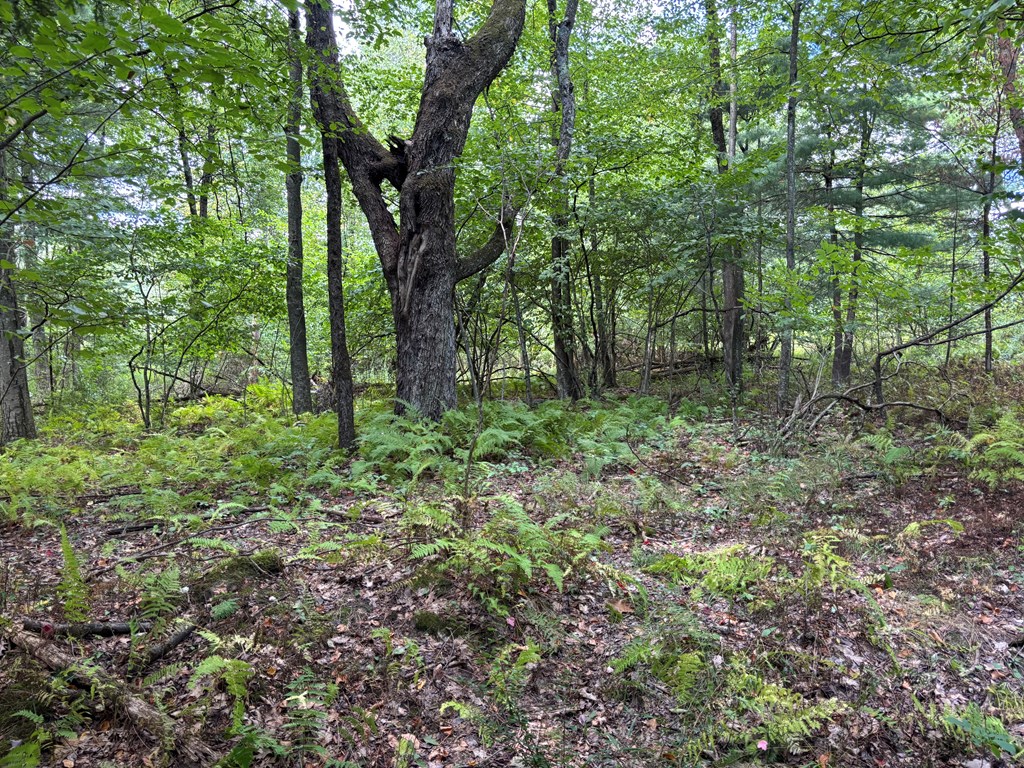 0 McCauley Hill Road Tidioute, PA 16351 - Photo 7 of 8