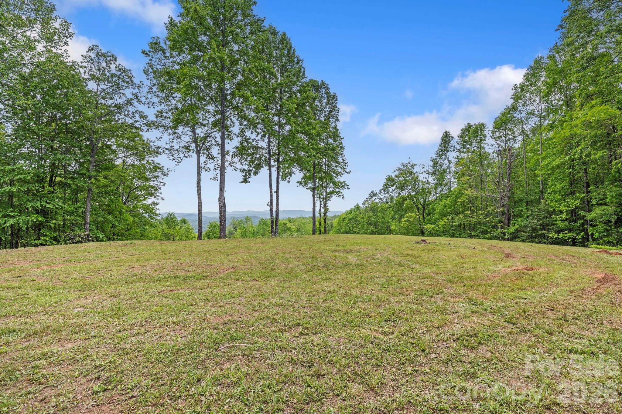 1325 Golden Road Lake Toxaway, NC 28747 - Photo 1 of 15 a view of a field with trees in the background
