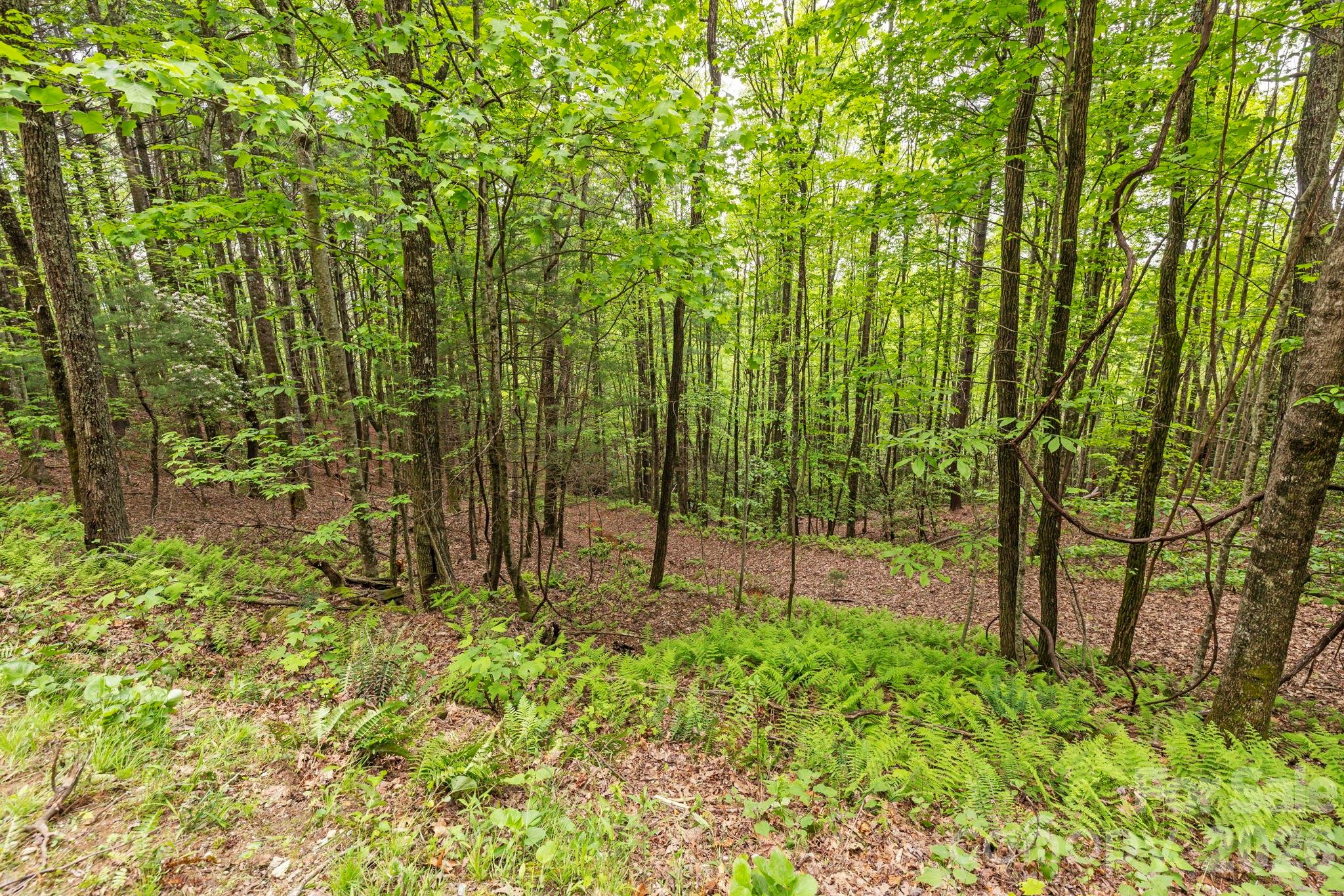 1325 Golden Road Lake Toxaway, NC 28747 - Photo 11 of 15