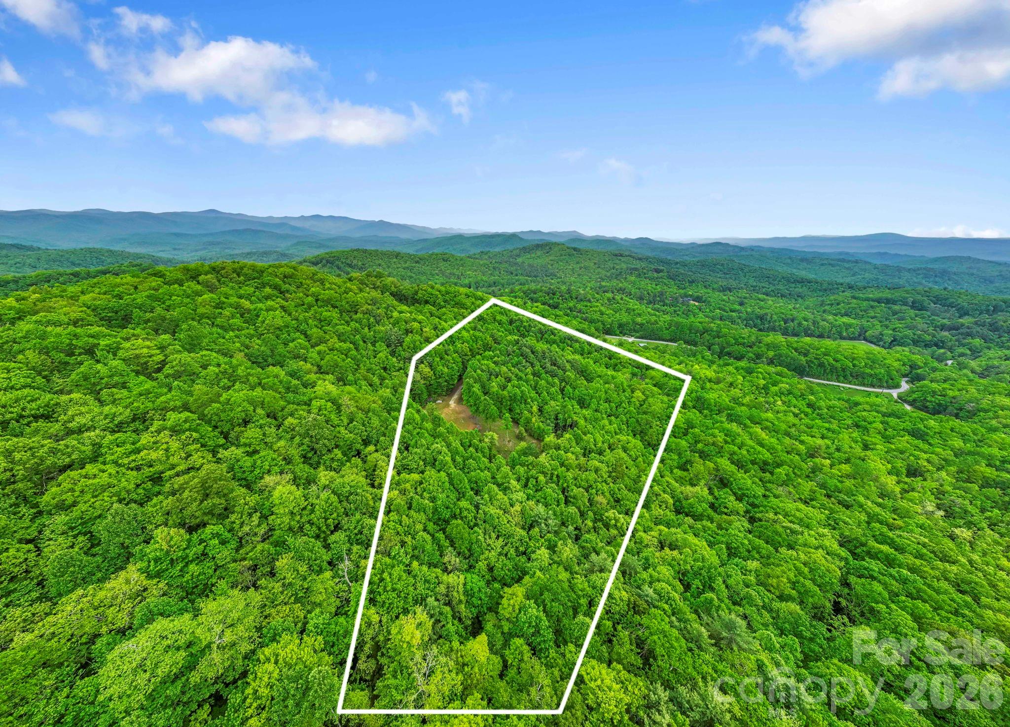 1325 Golden Road Lake Toxaway, NC 28747 - Photo 12 of 15 a view of a lush green space
