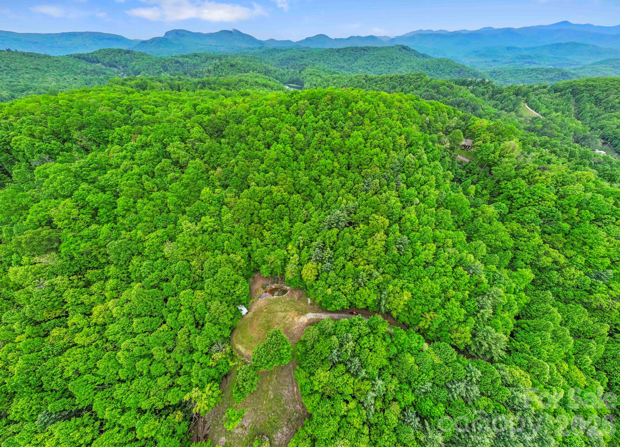 1325 Golden Road Lake Toxaway, NC 28747 - Photo 13 of 15 a view of a lush green forest with trees in the background