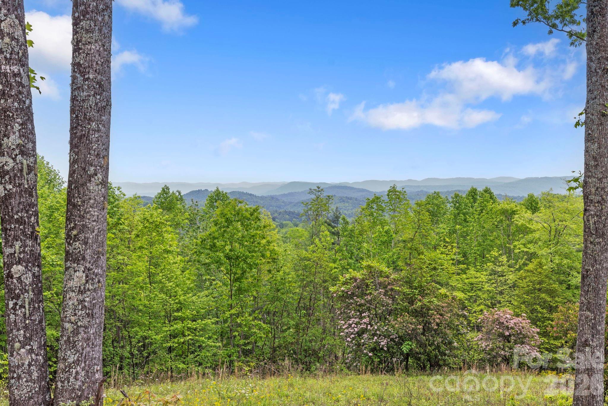 1325 Golden Road Lake Toxaway, NC 28747 - Photo 2 of 15 a view of a big yard with lots of green space
