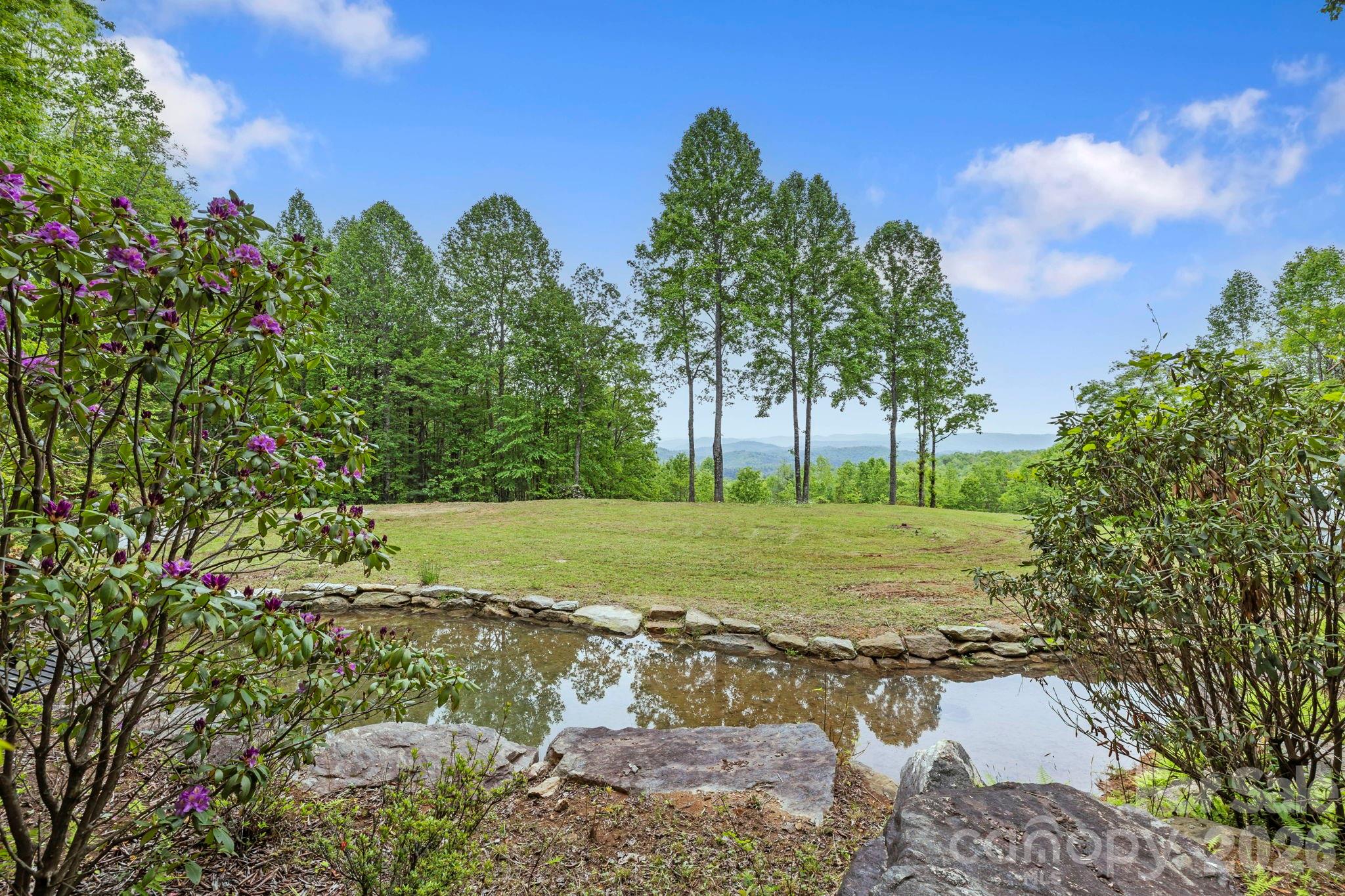 1325 Golden Road Lake Toxaway, NC 28747 - Photo 3 of 15 a view of a yard with flower plants and large trees