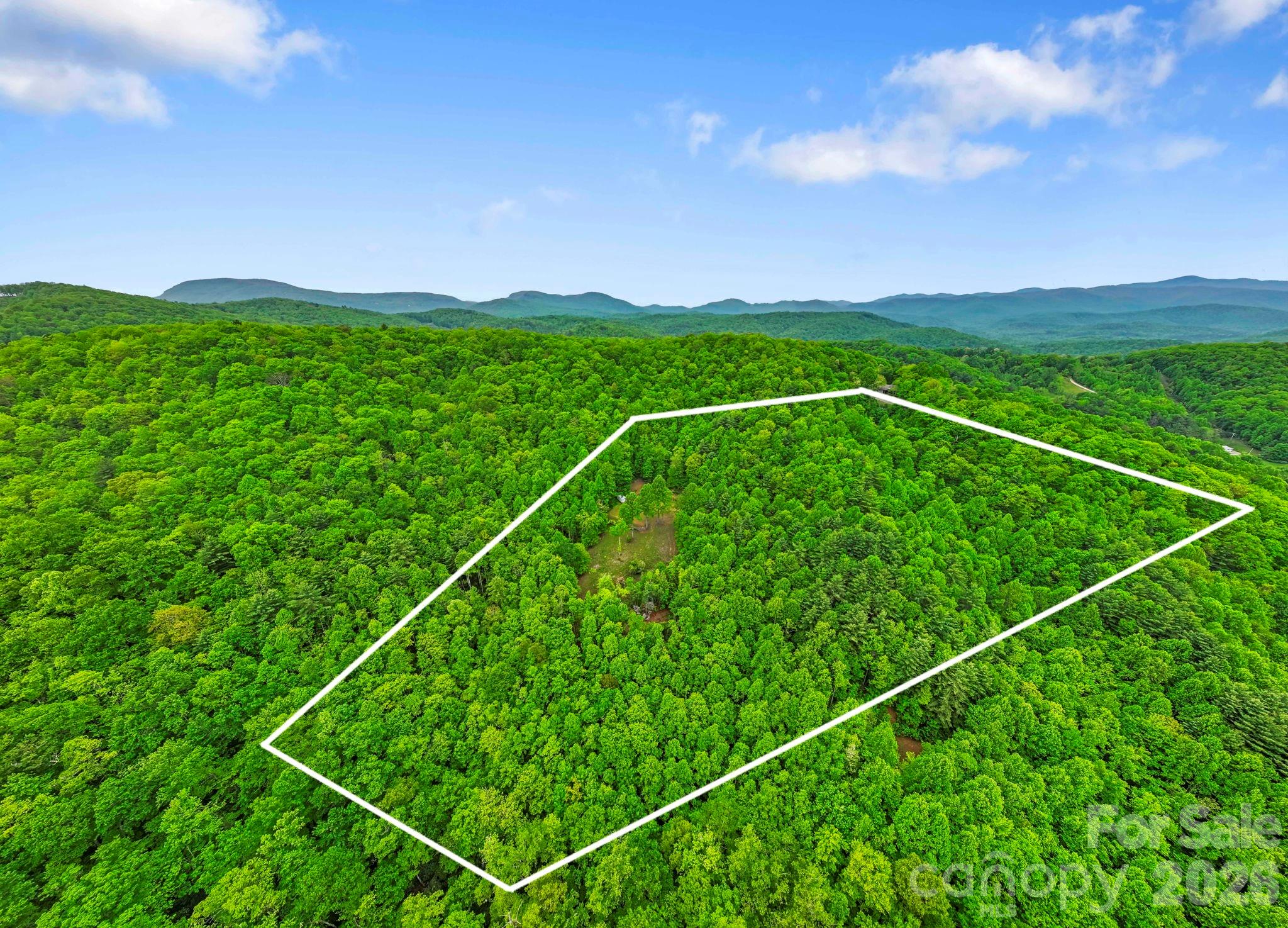 1325 Golden Road Lake Toxaway, NC 28747 - Photo 4 of 15 a backyard of a house with lots of green space
