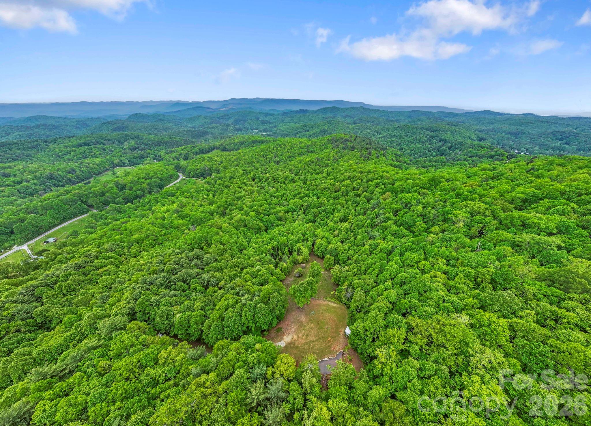 1325 Golden Road Lake Toxaway, NC 28747 - Photo 6 of 15 a view of a lush green space with sea