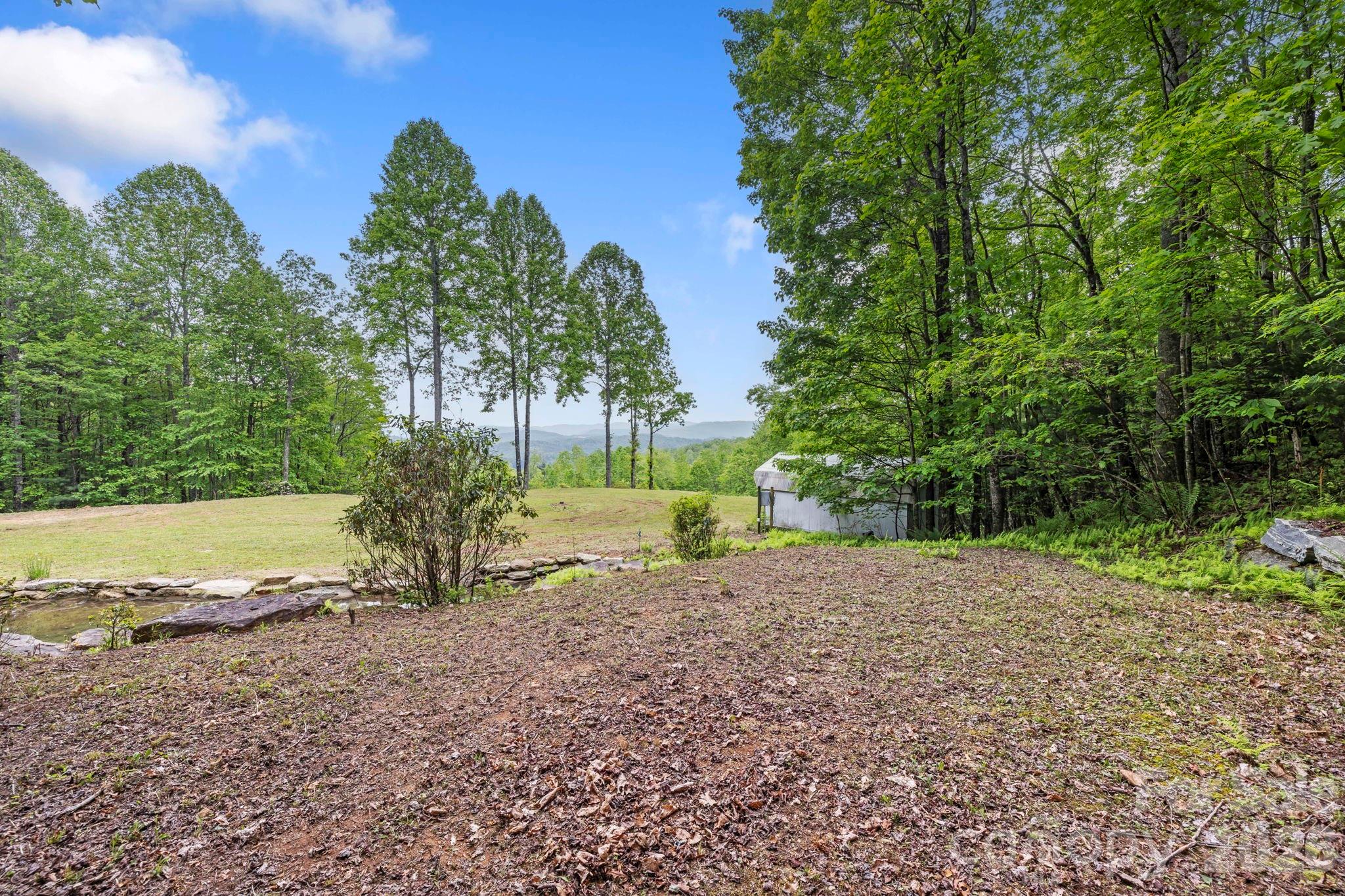 1325 Golden Road Lake Toxaway, NC 28747 - Photo 8 of 15 a view of a yard with a tree