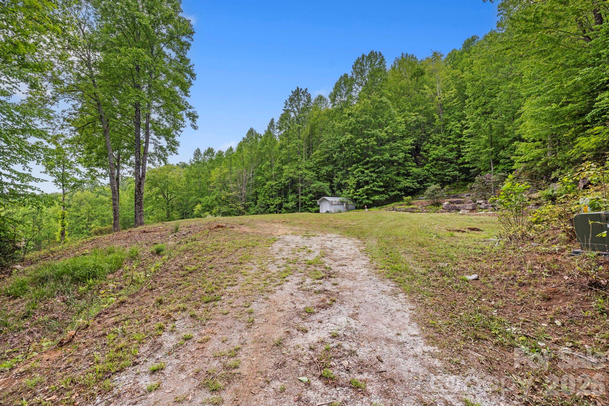1325 Golden Road Lake Toxaway, NC 28747 - Photo 10 of 15 a view of a yard with a tree