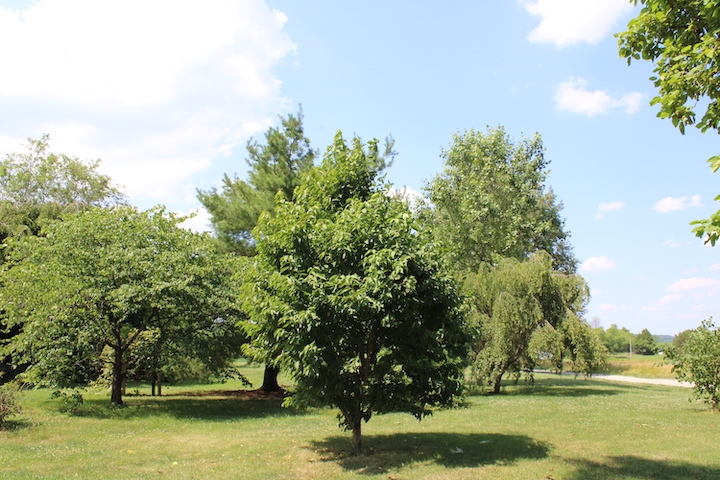 3897 North 925th Road West Linton, IN 47441 - Photo 7 of 7
