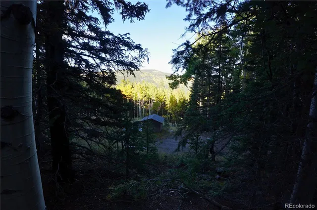 a view of a yard with trees