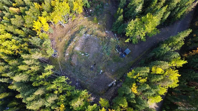 a flag is sitting in the middle of forest
