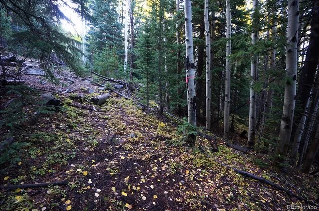 a fire hydrant in the middle of a field