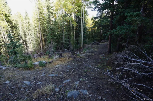 a view of a street with lots of trees