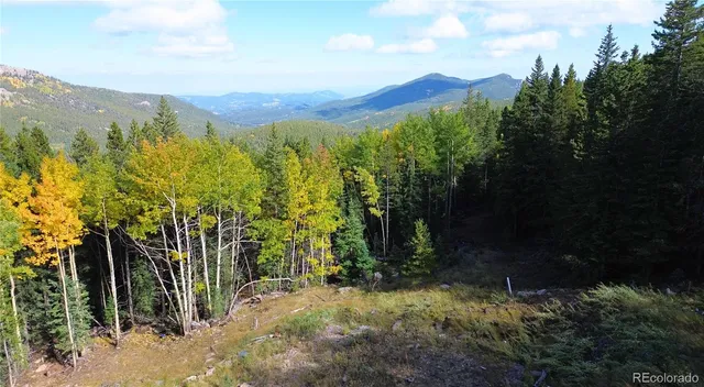 a view of a yard with plants and large trees