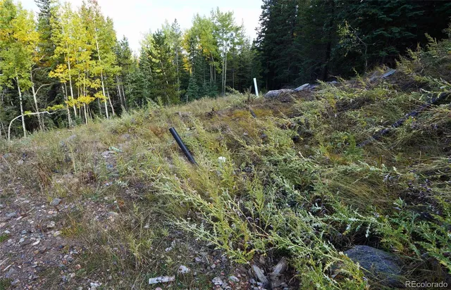a view of an outdoor space and a yard