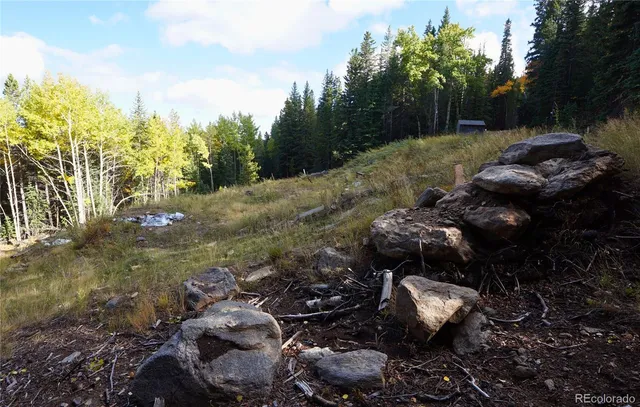 a view of a garden with flowers