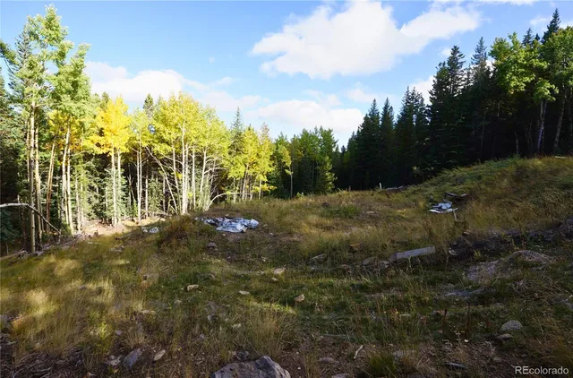 a view of a garden with plants