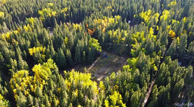 a view of a lush green forest with mountains in the background