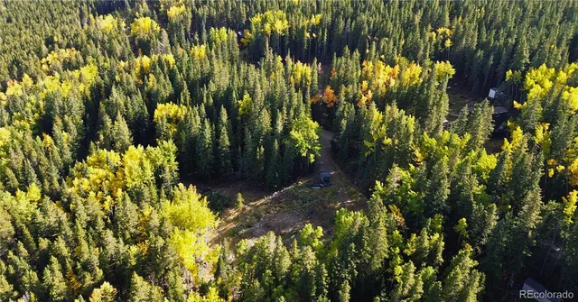 a view of a houses with a lush green forest