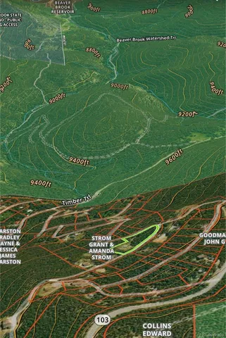 $349,000 | 429 Sawmill Lane, Idaho Springs, CO 80452