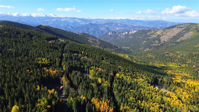 a view of outdoor space and garden