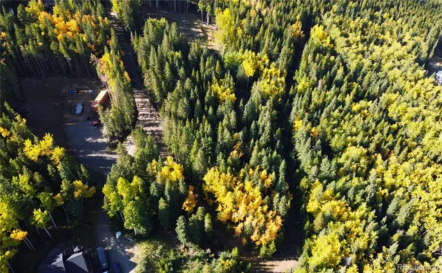 a view of a bunch of flowers