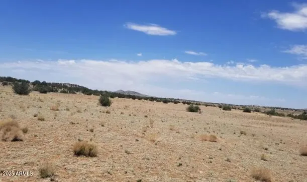 $11,997 | 42700 Hard Rock Way, Seligman, AZ 86337